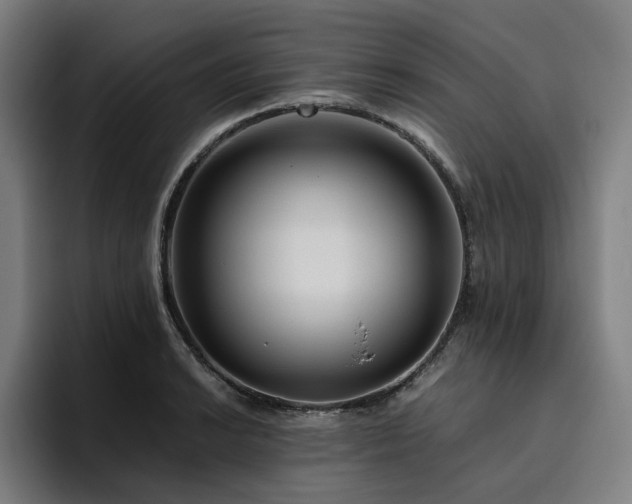 X0000094781038200711161412