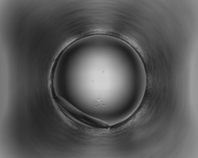 X0000094781042200711161412
