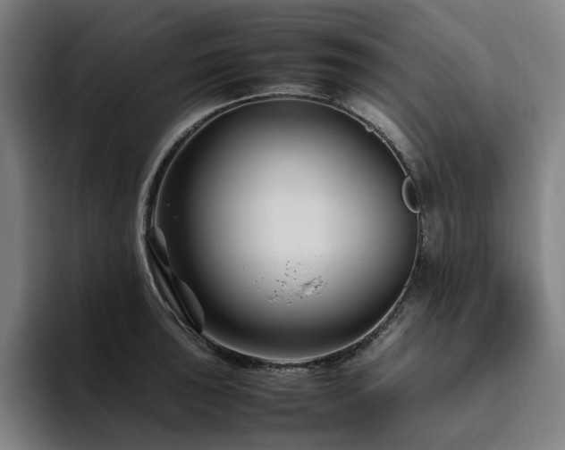 X0000094781043200711161412