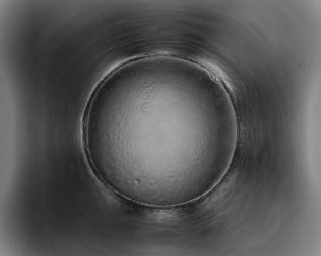 X0000094781047200711161412