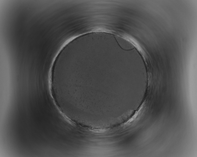 X0000094781048200711161412