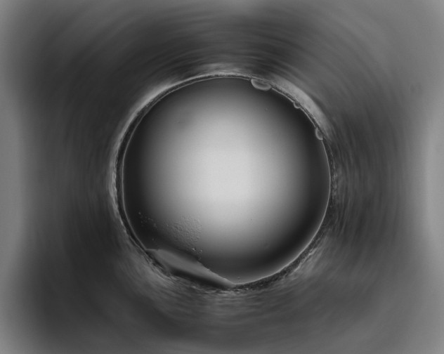 X0000094781051200711161412