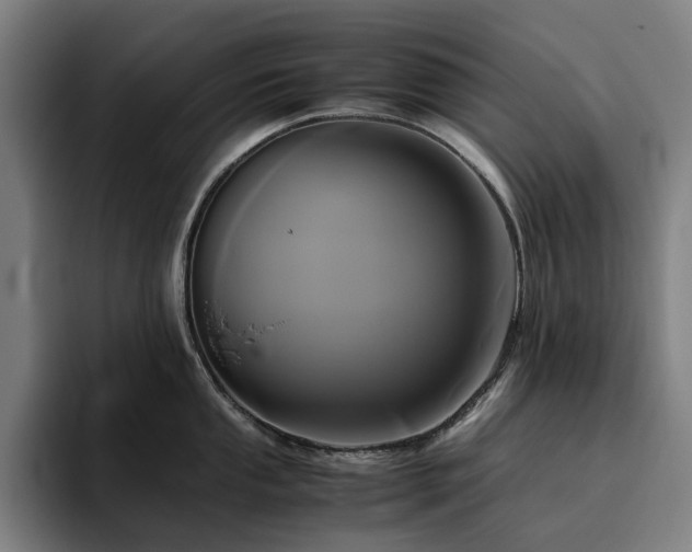 X0000094781053200711161412