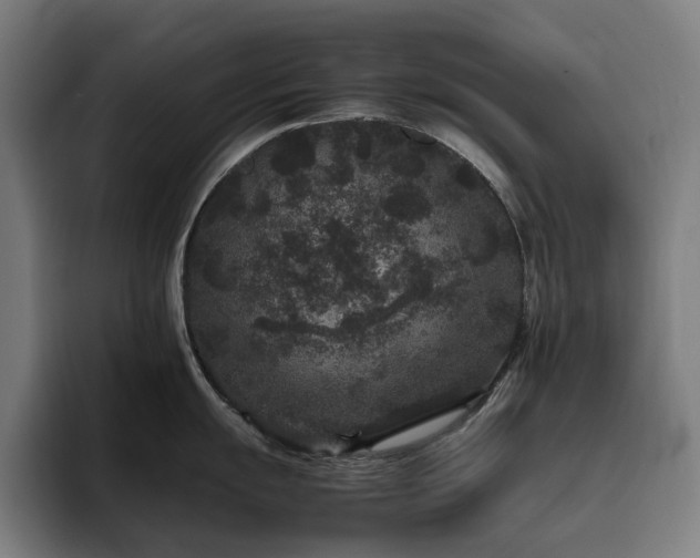 X0000094781055200711161412