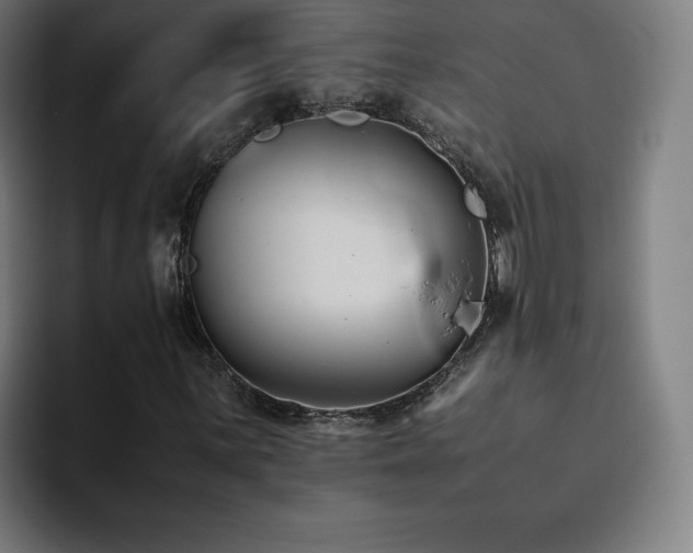 X0000094781059200711161411