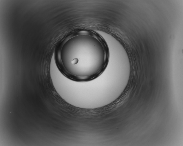 X0000094781060200711161411