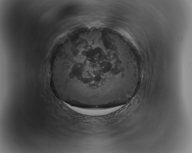 X0000094781063200711161411