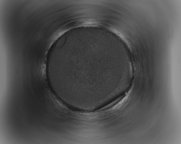 X0000094781066200711161411