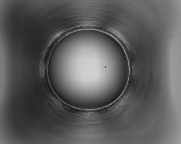 X0000094781067200711161411