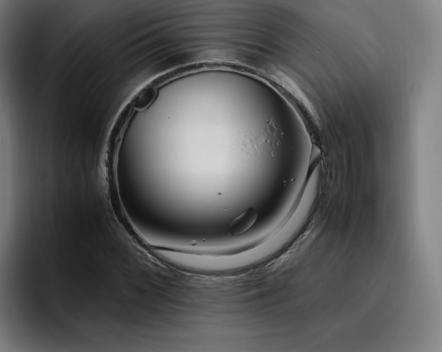 X0000094781068200711161411