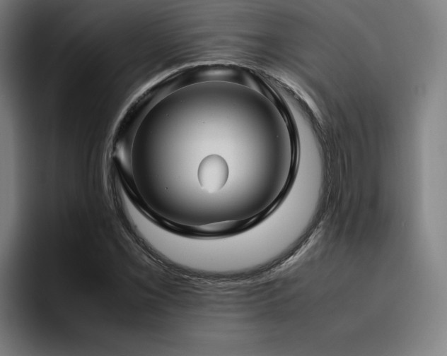 X0000094781069200711161411