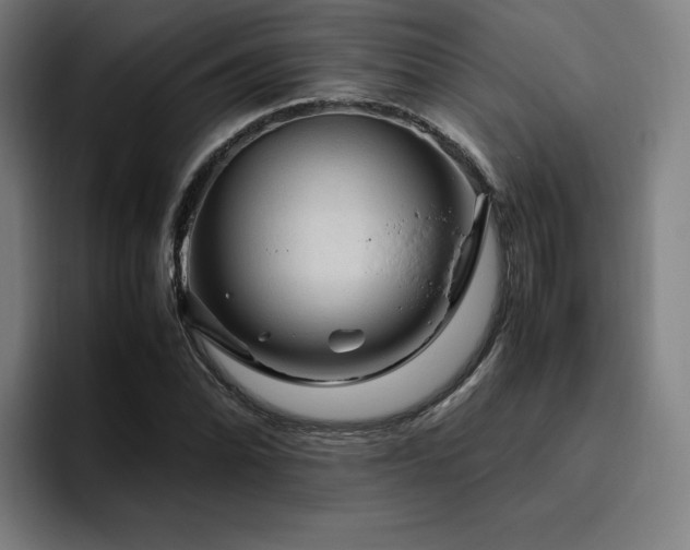 X0000094781070200711161411
