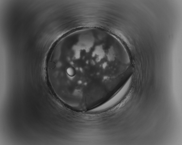 X0000094781071200711161411