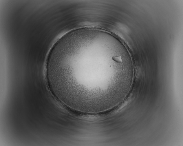X0000094781074200711161411