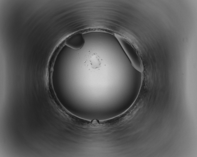 X0000094781076200711161411