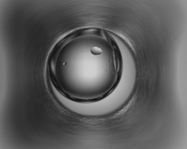 X0000094781077200711161411