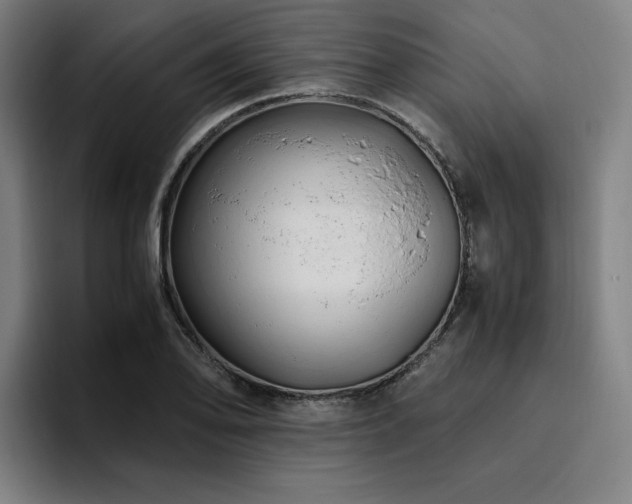 X0000094781078200711161411