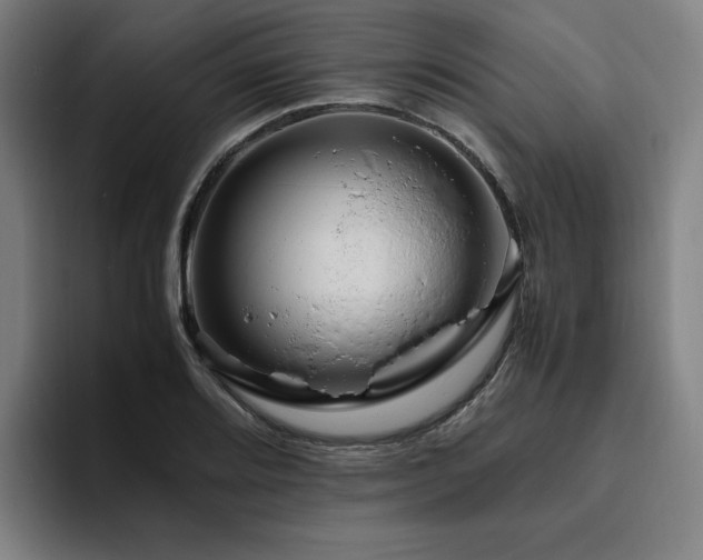 X0000094781080200711161411