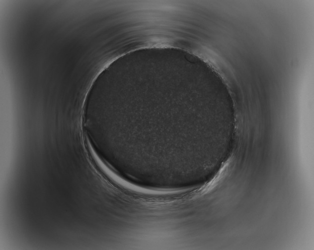 X0000094781081200711161411