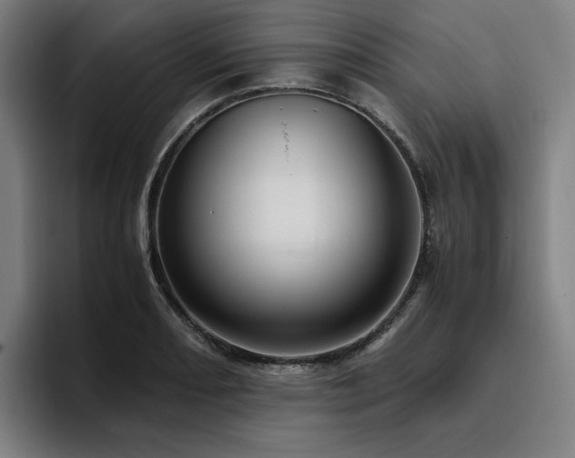 X0000094781082200711161411