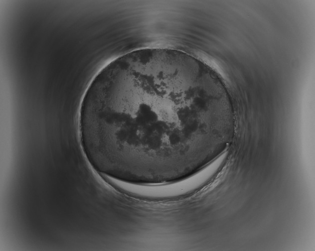 X0000094781087200711161411