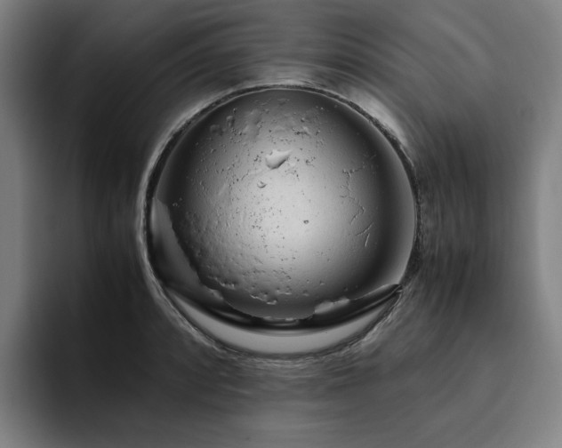 X0000094781088200711161411