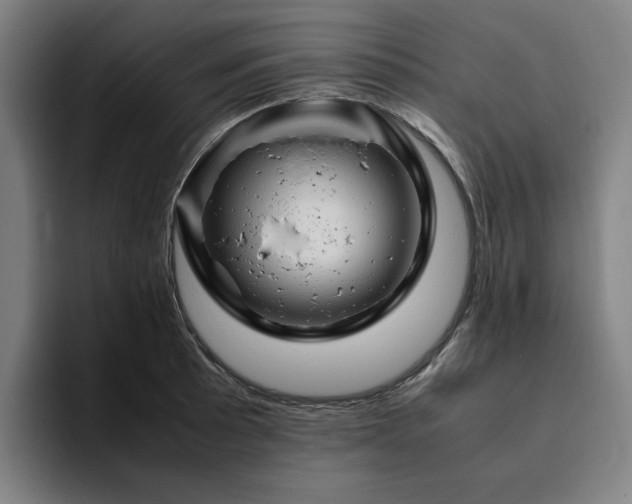 X0000094781089200711161411
