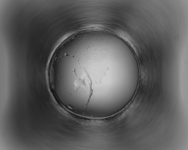 X0000094781090200711161411