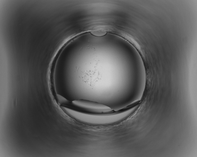 X0000094781091200711161411