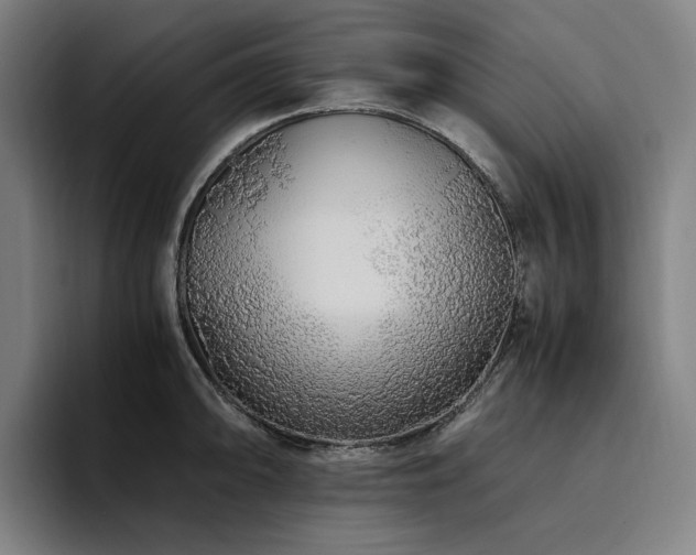 X0000094781094200711161411