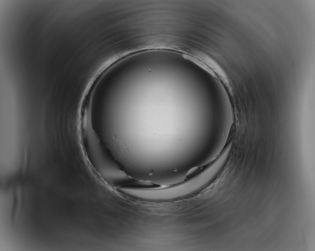 X0000094781096200711161411