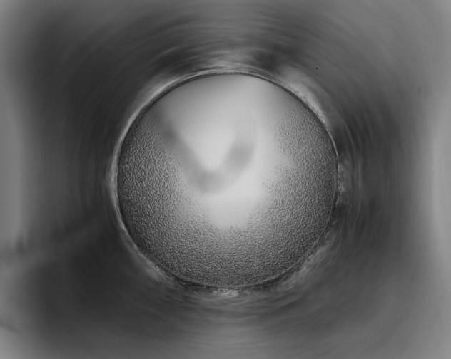 X0000094781098200711161411