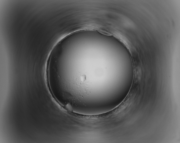 X0000094781103200711161411
