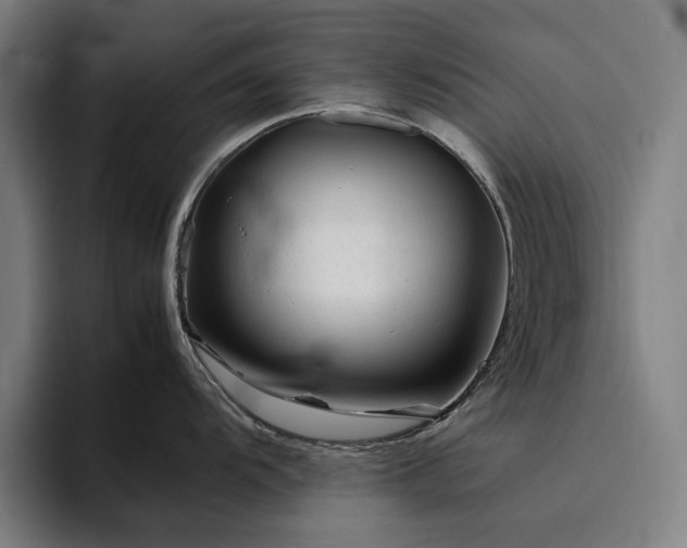 X0000094781104200711161411