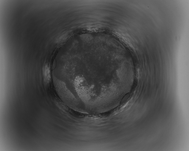 X0000094781106200711161410