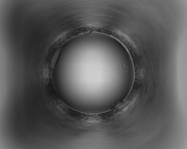 X0000094781110200711161410