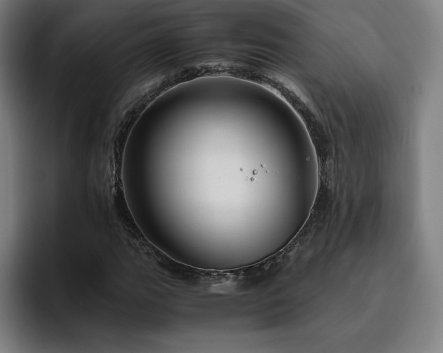 X0000094781111200711161410