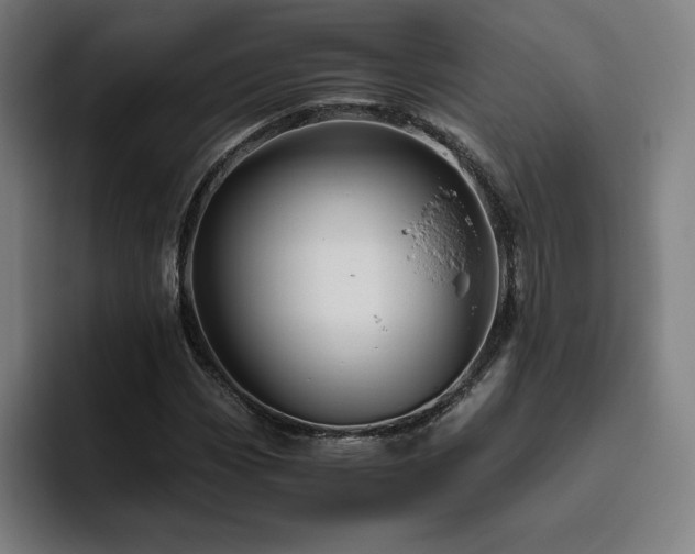 X0000094781113200711161410