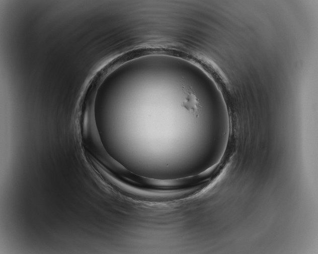 X0000094781114200711161410