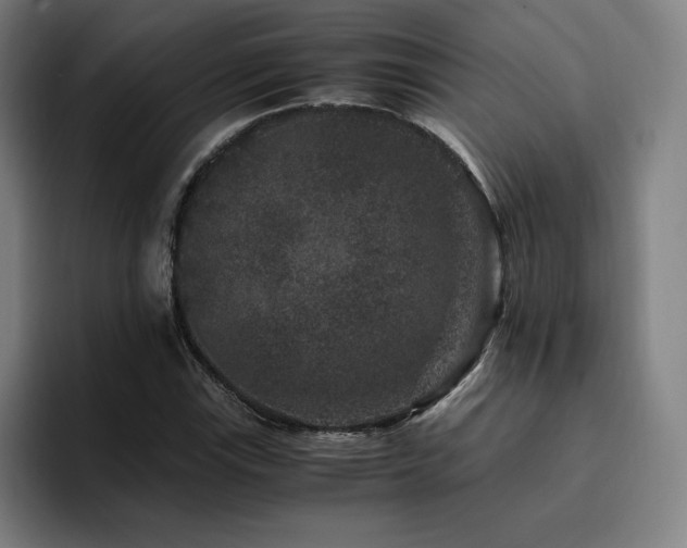 X0000094781115200711161410
