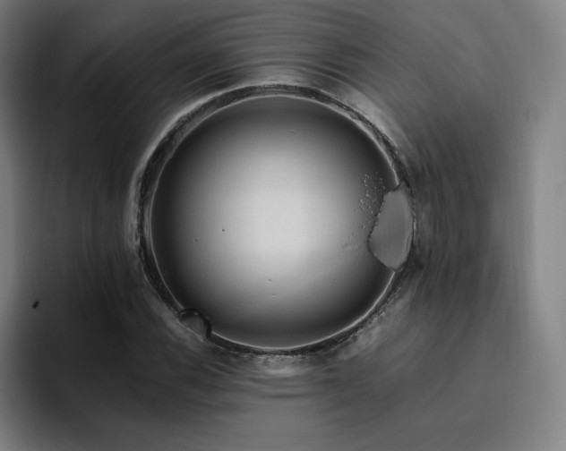 X0000094781116200711161410