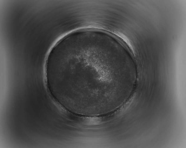 X0000094781120200711161410