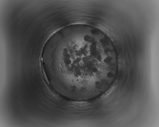 X0000094781121200711161410
