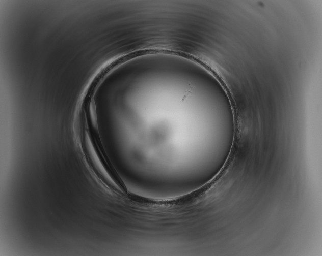 X0000094781123200711161410