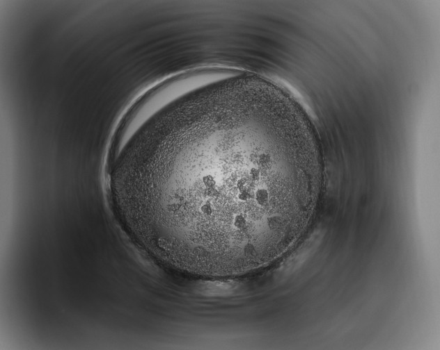 X0000094781125200711161410