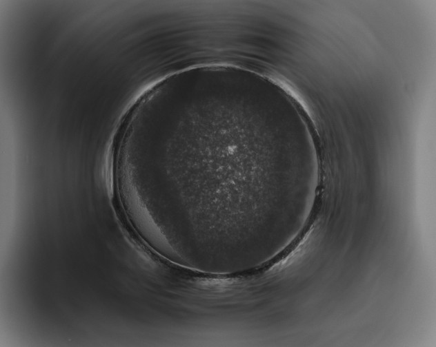 X0000094781127200711161410