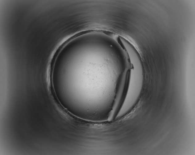 X0000094781128200711161410