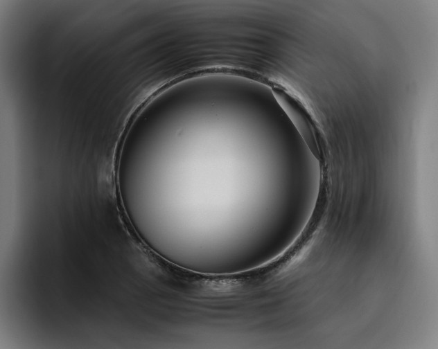 X0000094781129200711161410