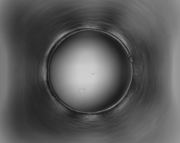 X0000094781131200711161410