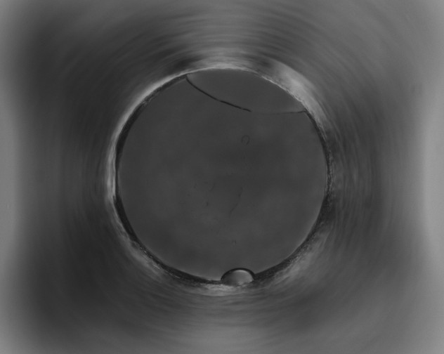 X0000094781132200711161410
